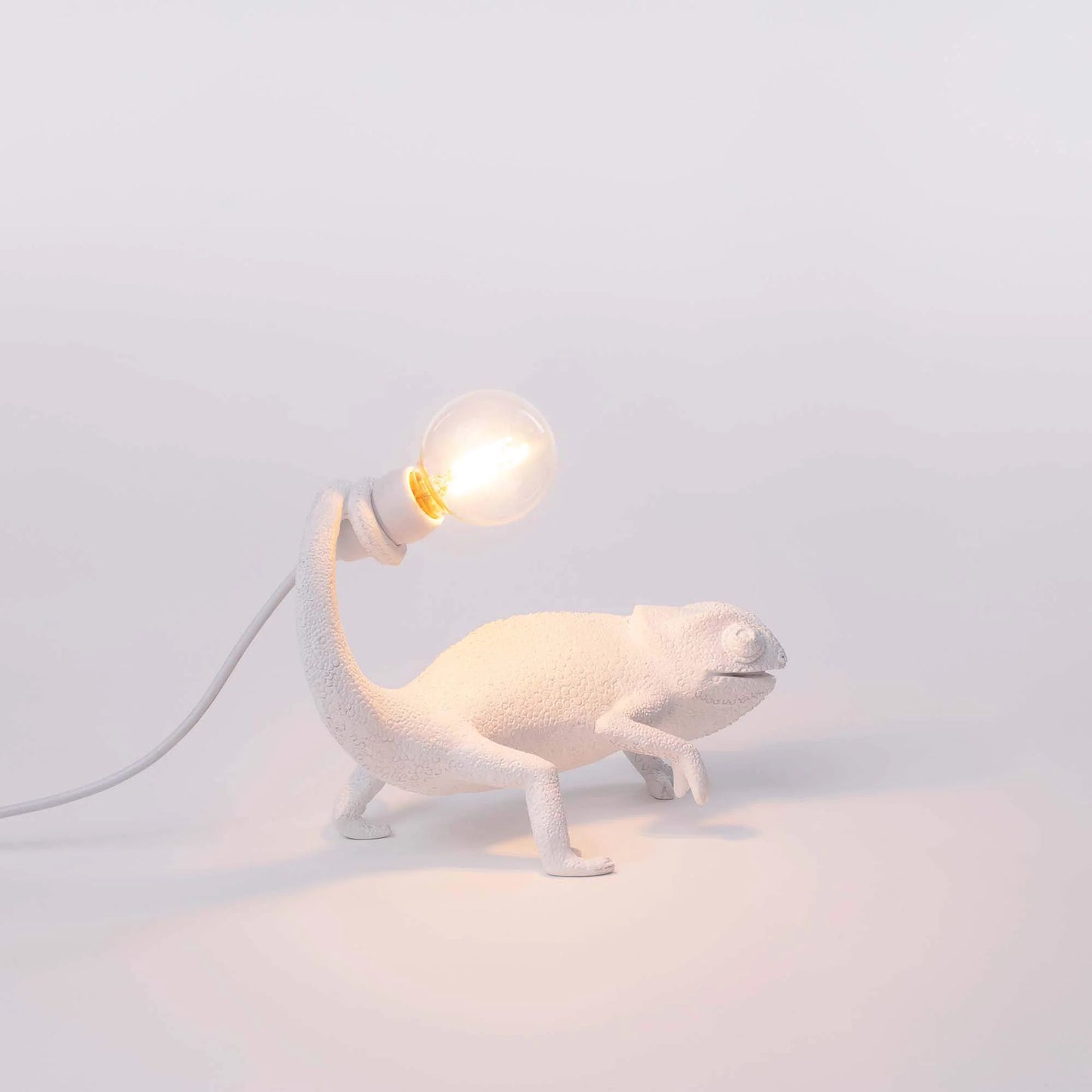 Chameleon Lamp Still USB