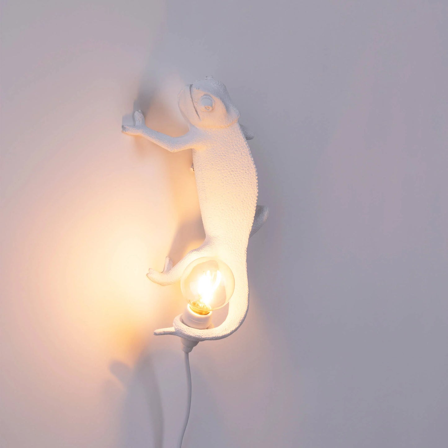Chameleon Lamp Going Up USB