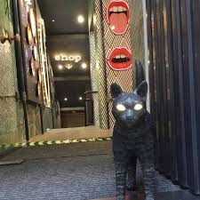 Jobby The Cat Black