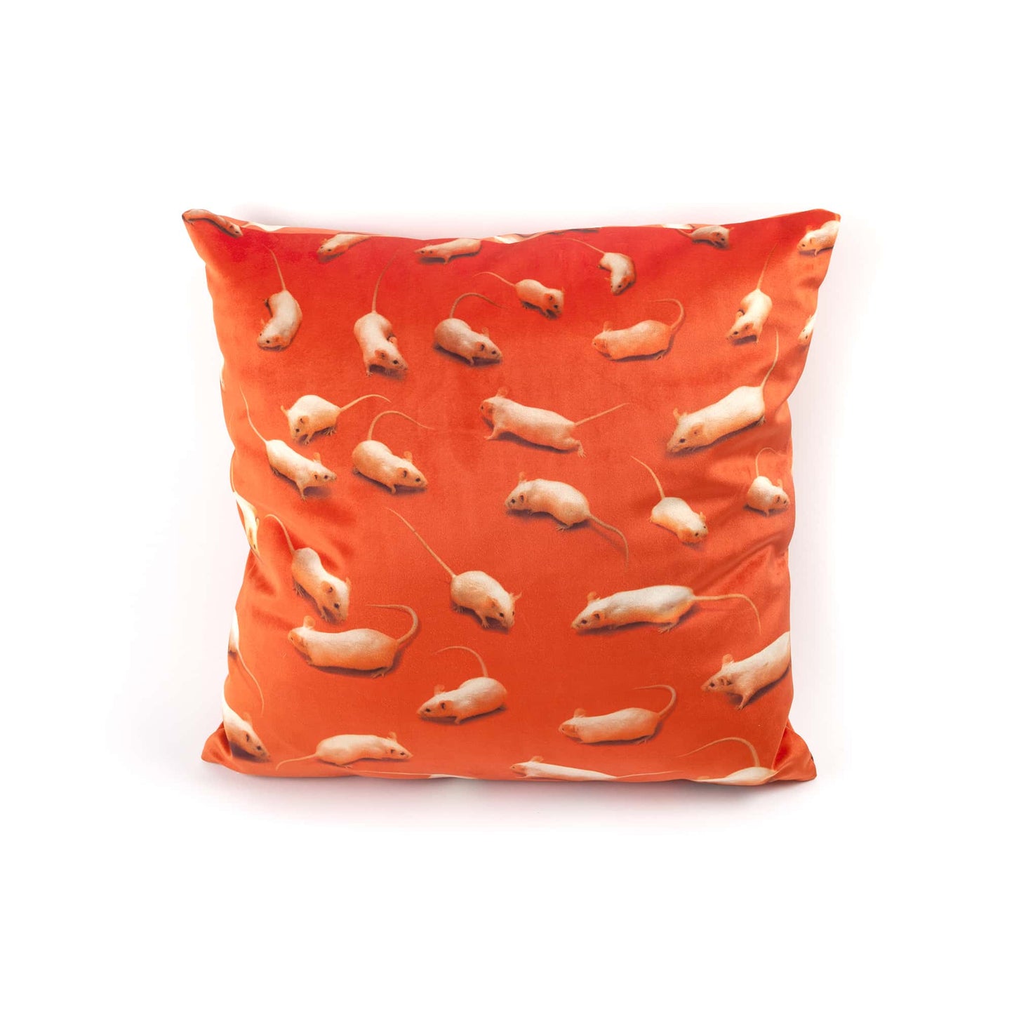 Cushion Kitten With Plume Padding