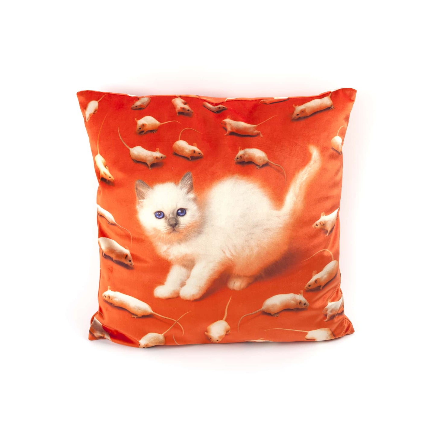 Cushion Kitten With Plume Padding