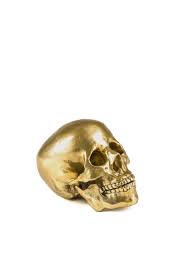 Wunderkrammer Human Skull