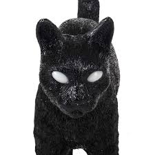 Jobby The Cat Black