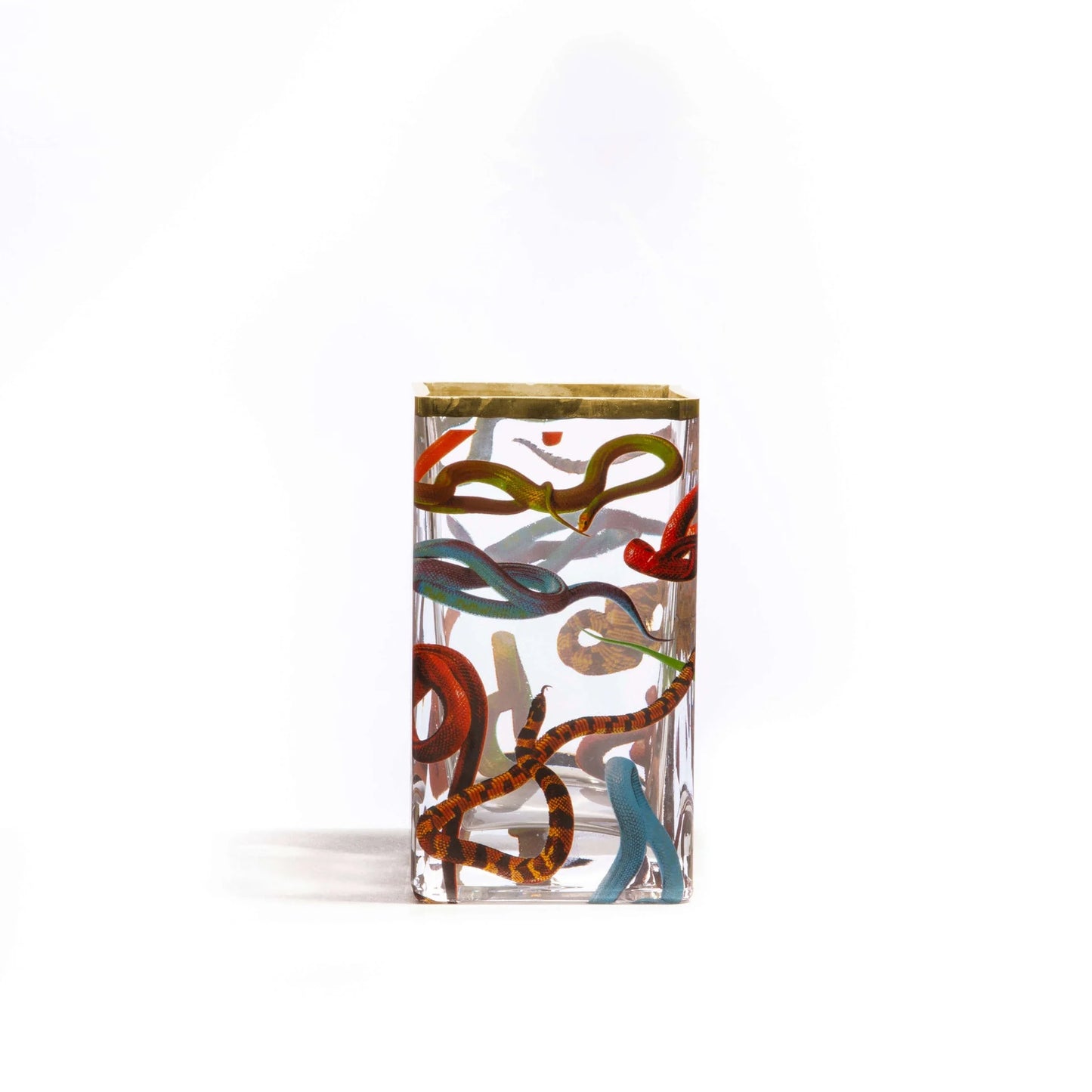 Glass Vase Snakes medium