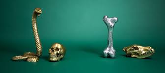 Wunderkrammer Human Skull