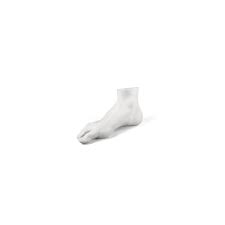 Memorabilia Mvsevm Male Foot 