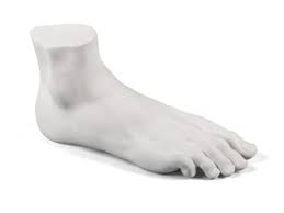Memorabilia Mvsevm Female Foot 