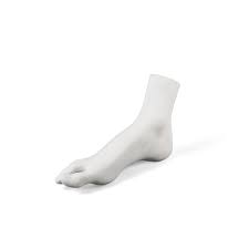 Memorabilia Mvsevm Female Foot 