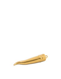 Memorabilia Gold My Lucky Horn