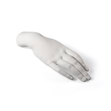 Memorabilia Mvsevm Female Hand