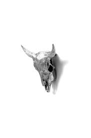 Wunderkammer Bison Skull
