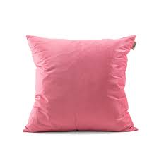 Cushion Pink