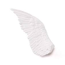 Memorabilia Mvsevm Wing Right