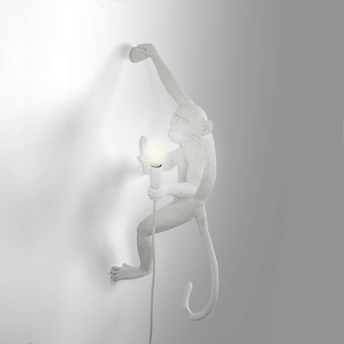 The Monkey Lamp Hanging Version Right 01